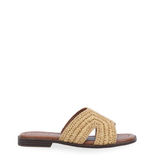 Women's Darcy Sandal in Natural