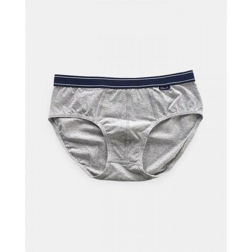 BRIEF NED 2 PACK by coast available at My Harley and Rose