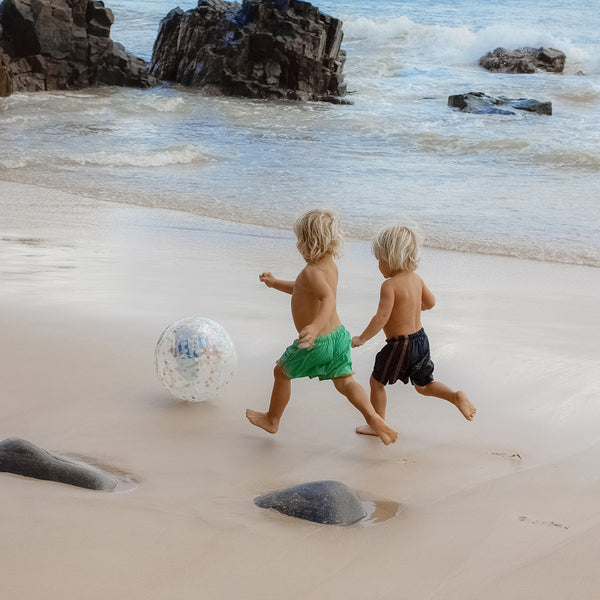 3D Inflatable Beach Ball - Sammy the Seagull