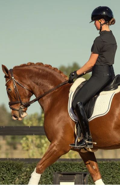 Ladies BARE Equestrian Sculpt Hybrid Riding Breeches in Black