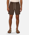 The Men's Dublin Short in Fig