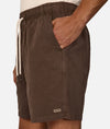 The Men's Dublin Short in Fig