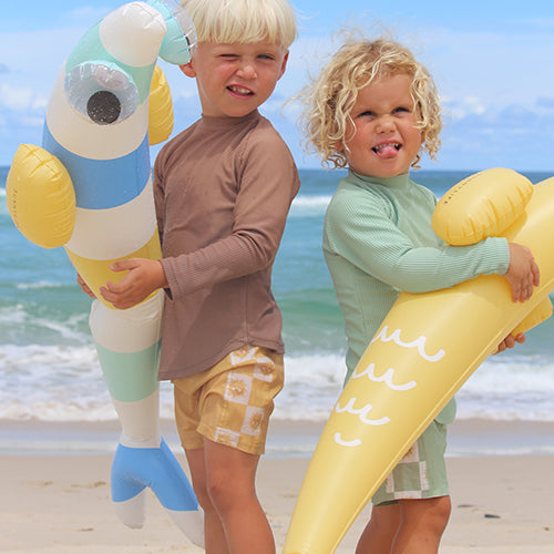 Kids Inflatable Beach Noodle - Finn the Fish