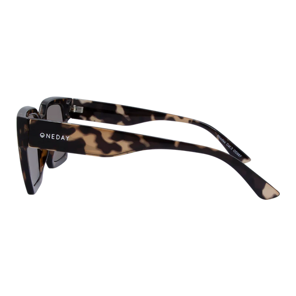 Rhodes Sunglasses in Tortoise Brown
