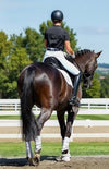 BARE Sculpt Hybrid Riding Breeches - White/Black Seat