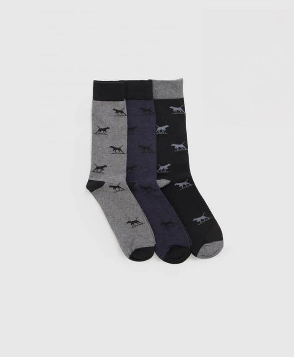 Men's Socks - Dogs-A-Plenty Three Pack Socks in Multi